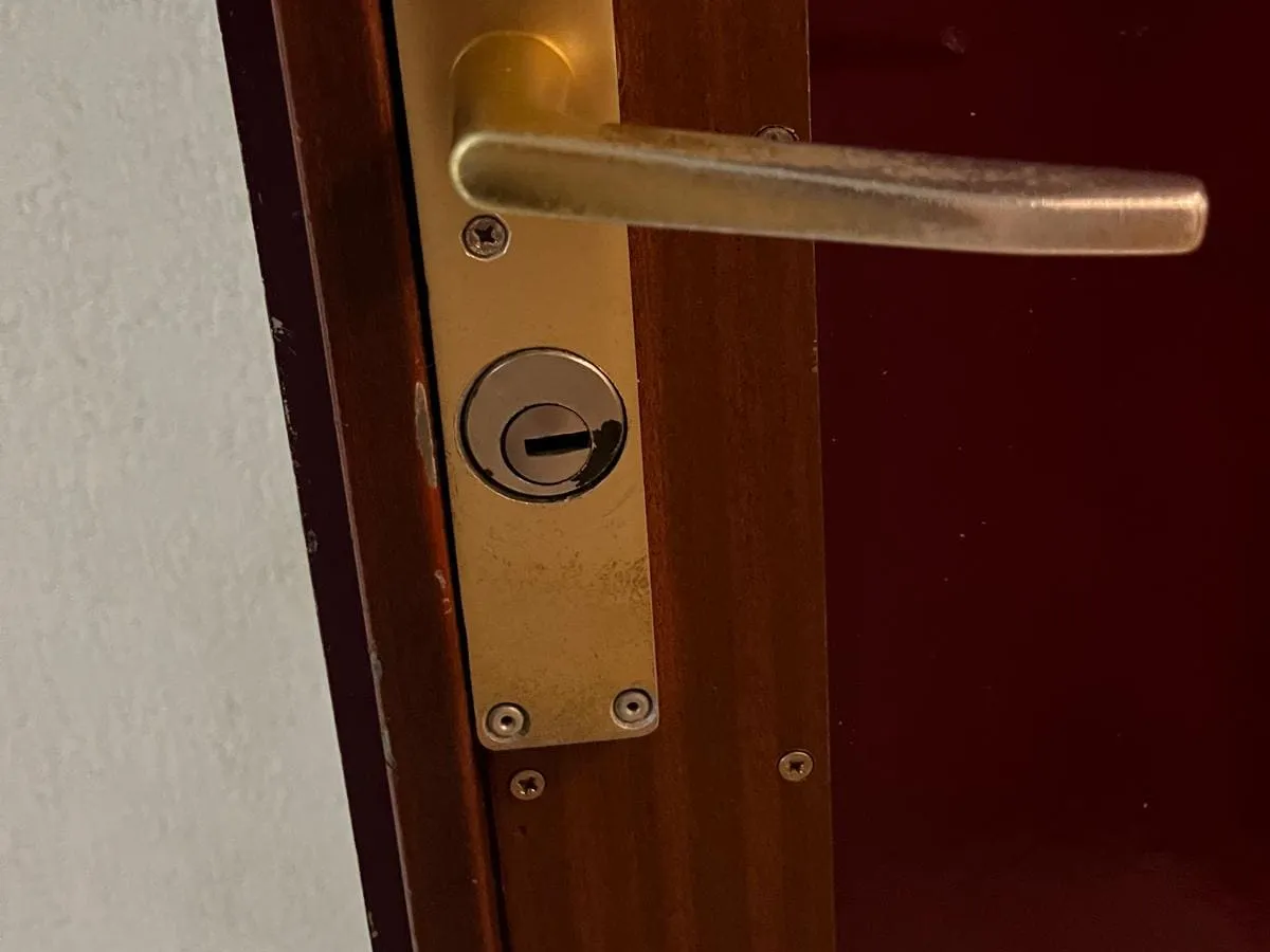 Poignée et cylindre sur porte en bois, à Nice